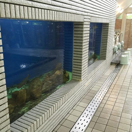 Kankoso 片品村 外观 照片