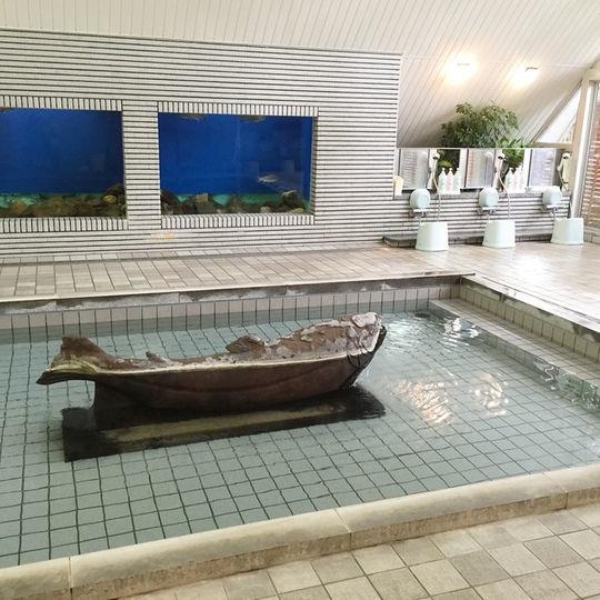 Kankoso 片品村 外观 照片